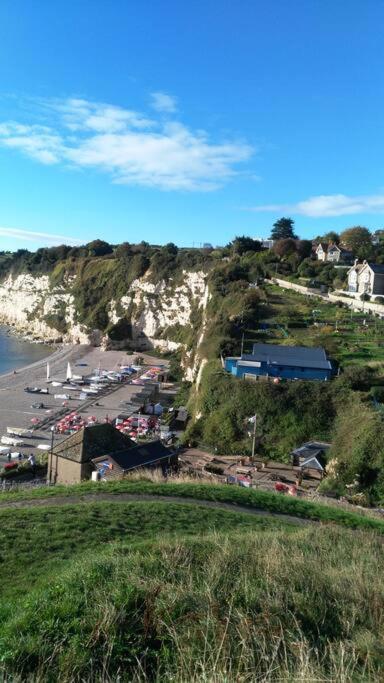 No. 27. A quiet dog friendly rural/coastal chalet Villa Seaton Exterior foto